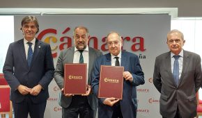 noticia
